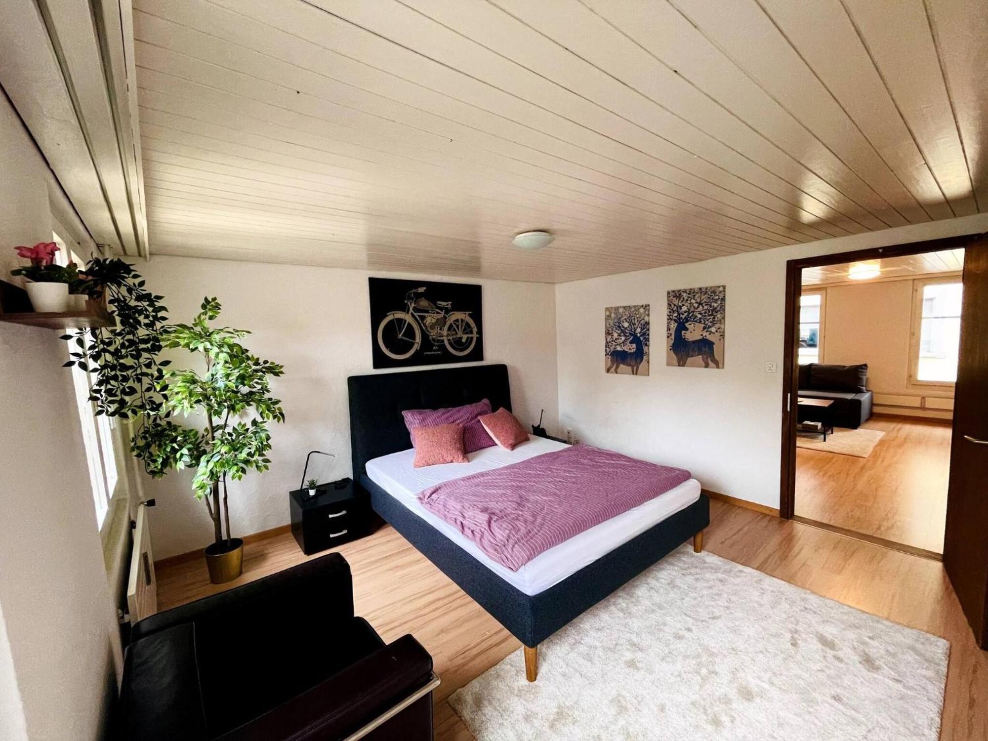 Newly Furnished Beautiful Old Building Apartment In The Center With Apple Tv St. Gallen Dış mekan fotoğraf